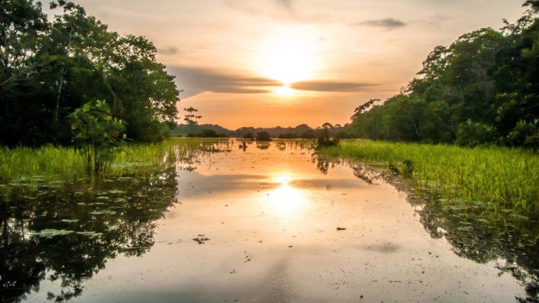 Amazonas Peruano