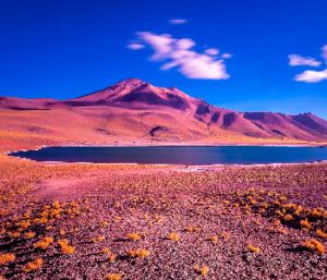 Desierto