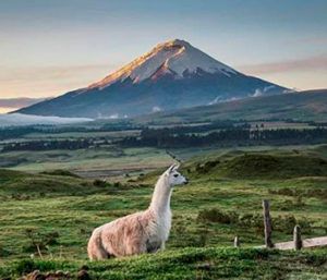 ecuador