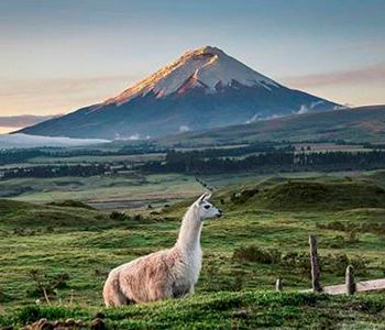 ecuador