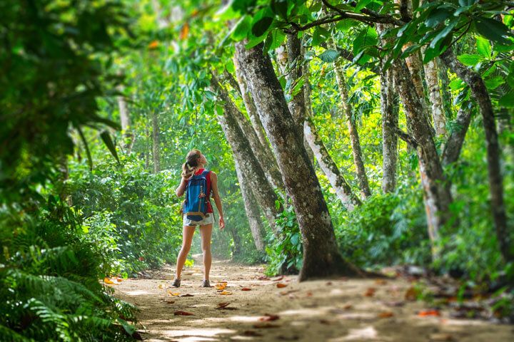 chica explorando el bosque