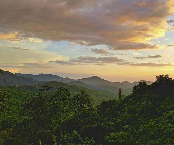 Zona cafetera Colombia