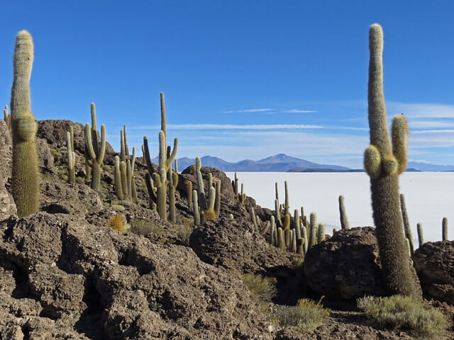Salar Bolivia