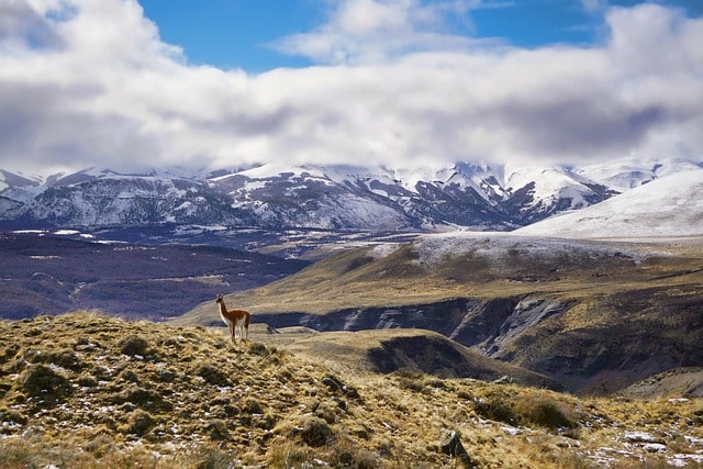 Patagonia
